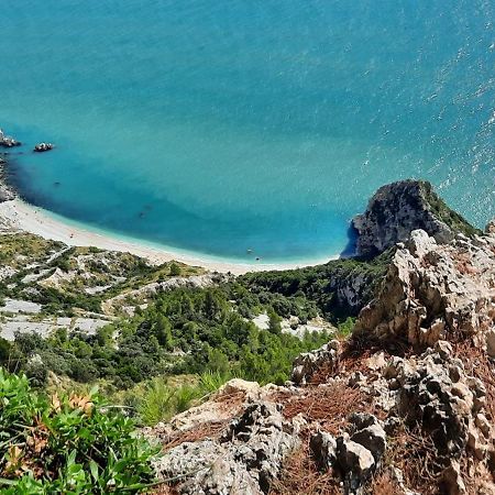 Appartamento In Contesto Esclusivo In Pieno Centro Камерано Экстерьер фото